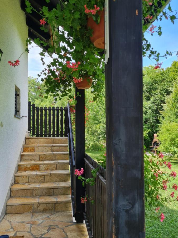 דירות רקוביצה Apartman Poznanovic מראה חיצוני תמונה